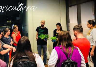 Talleres de Invierno 2018