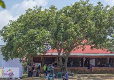 Día familiar 8 de Abril